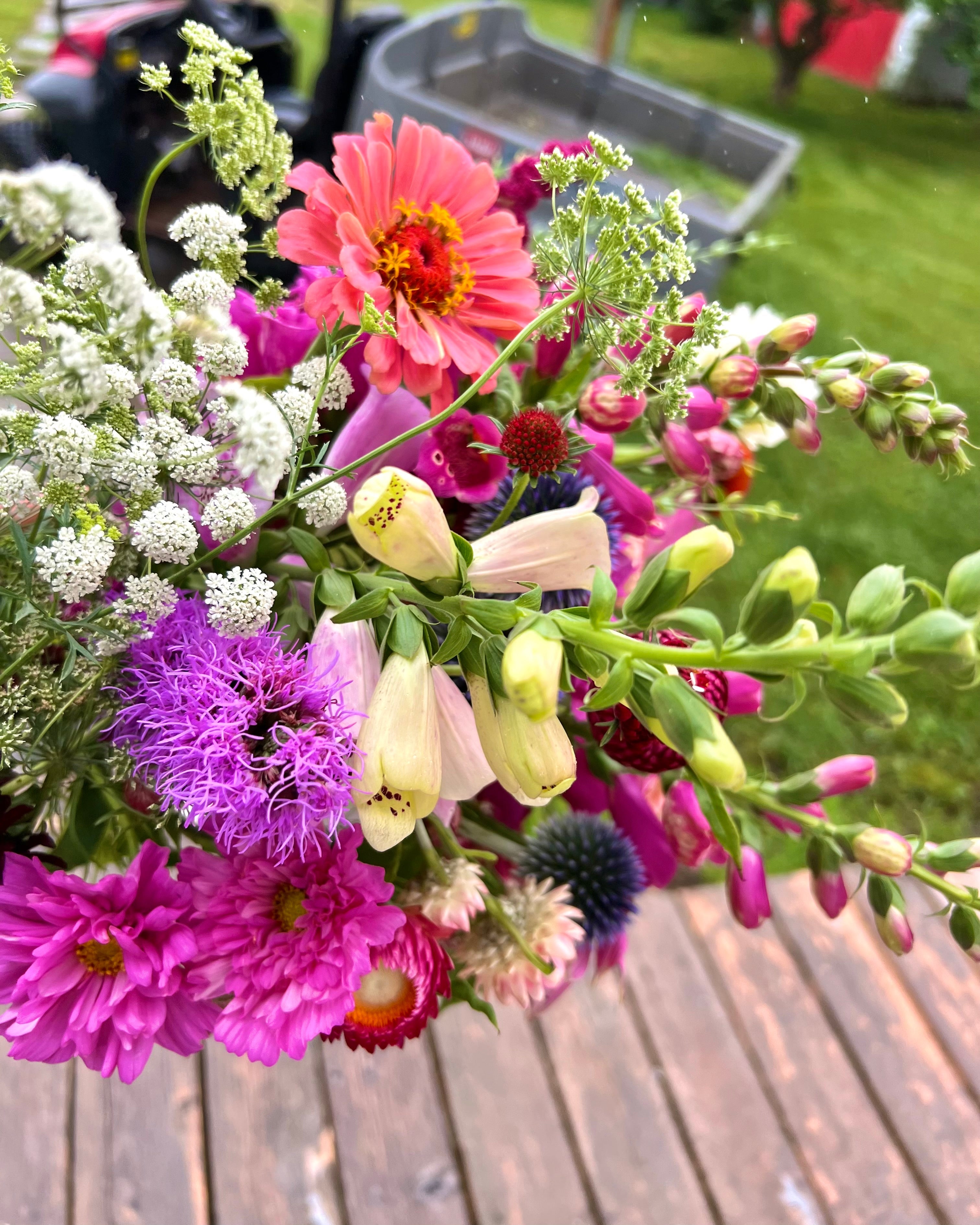 bouquet of seasonal central alberta flowers including: foxglove, zinnias, yarrow and strawflower